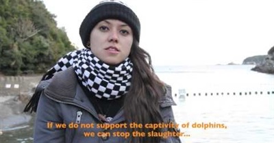 Cove Guardian Call to Action!