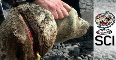 An Endless Plastic Wasteland?