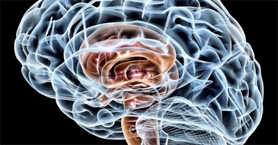 Dan Mayer: Does Media Control Our Minds?