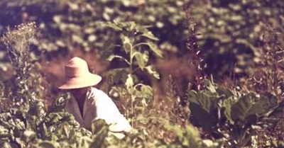 When It Comes To Food Security, The Question Is, Where Do We Want To Go From Here?