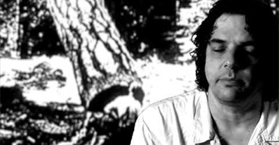 Learn about Clear Cuts