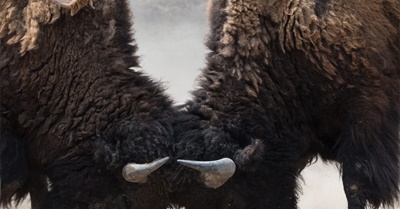 The Polarization Trap