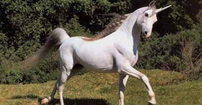 David Cameron on Immigration: "Bloody Unicorns, Coming Here, Takin' Our rainbows"