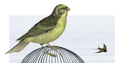 The Anarchist Impulse