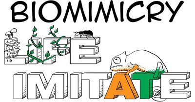 Biomimicry Explained with Drawings & Examples