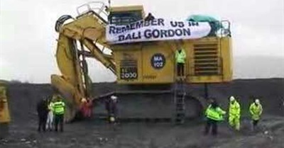 Polar Bears Populate Welsh Coal Mine