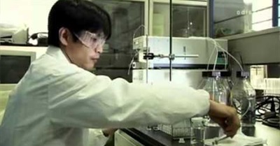 El Espiritu De Las Plantas (2009) - Le Sprit Des Plantes