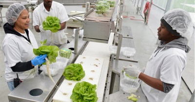 Worker Cooperatives Offer Real Alternatives to Trump's Retrograde Economic Vision