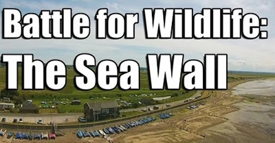 Battle for Wildlife:  The Sea Wall