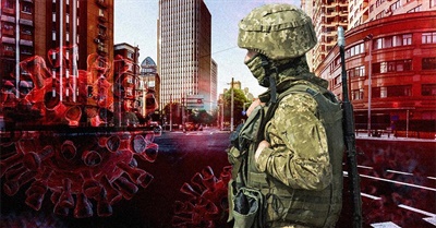 This Is a Test: How Will the Constitution Fare During a Nationwide Lockdown?