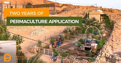 Two Years of Permaculture Application | Greening the Desert Project