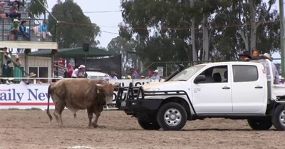 Warwick Rodeo, 27/10/2012