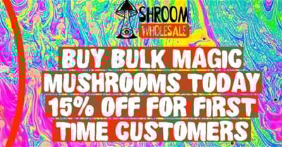 Golden Emperor Magic Mushroom | shroomswholesale