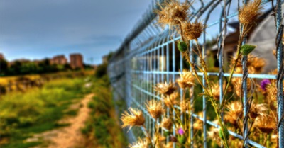 This Old Prison in Illinois May Be Transformed into a Farming paradise