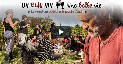 Beautiful Wine? Beautiful Life!