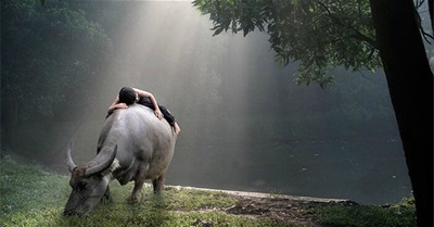 Zen and the Art of Living Deeply