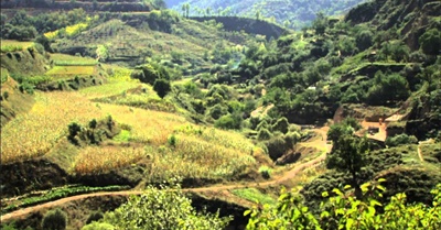 Hope in a Changing Climate - by John D. Liu