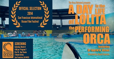 A Day In The Life Of Lolita, The Performing Orca