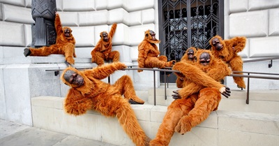 The Protest Movement Is Failing: It's Fighting the Same Old Battles with the Same Poor Results