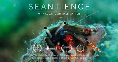 Seantience | a Documentary About the Sentience of Aquatic Animals