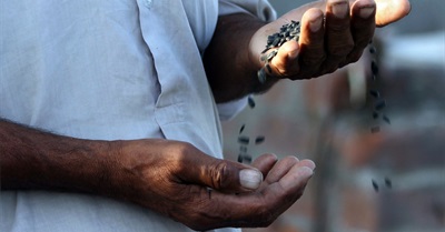 How Economic Growth Has Become Anti-Life