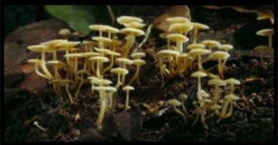 We Are All One - An Inspiring Short Film To Watch