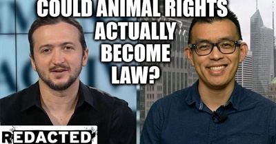 Could Animal Rights Actually Become Law?