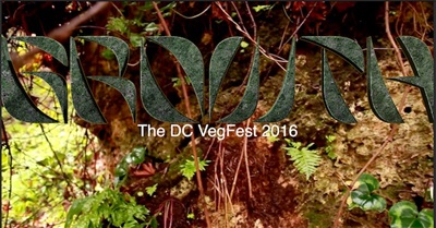 Growth: The DC Vegfest 2016