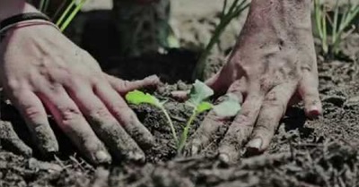 Plant the Seed - A Sustainable Brothers & Sisters initiative.