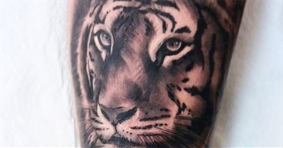 Realism Tattoos at Art N Soul Tattoo Studio