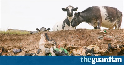 Clean Energy Won't Save Us - Only a New Economic System Can