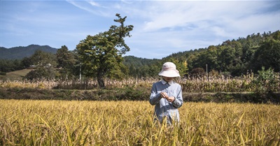 The Road to Food, Earth, and Happiness