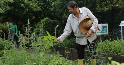 The One Way This Singapore Gardener Knows to Help