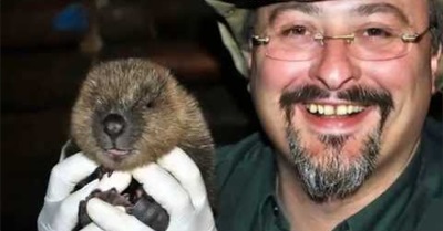 Leave It to Beaver - How Rewilding Stops Flooding