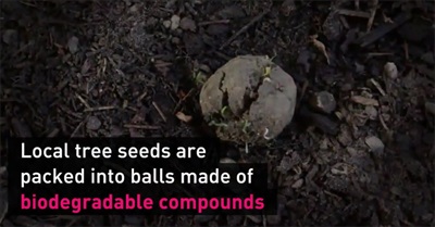 Seed Bombing: How Thailand Plans to Restore Its Forests