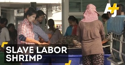 The Shrimp You Eat May Have Been Peeled by Slaves