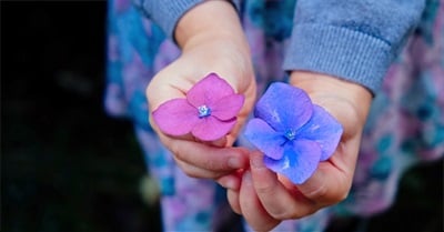 Self-Esteem Might Boost Our Egos, But Self-Compassion Opens Our Hearts