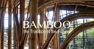 Bamboo--the Tradition of the Future