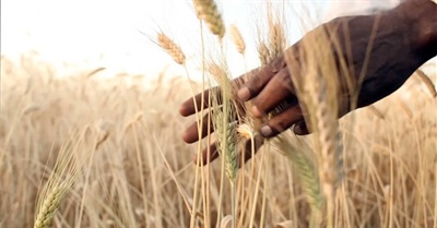 The Farmer, The Scientist... and The G8!