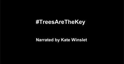 #TreesAreTheKey