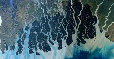 A Deep Ecology Meditation to Connect You With Nature