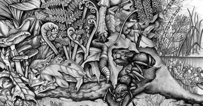 Everything Is Connected