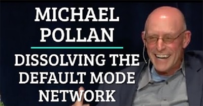 Michael Pollan | Dissolving the Default Mode Network