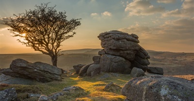 Spirituality in a Time of Crisis