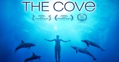 The Cove