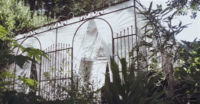 Stunning Garden Let's Nature Take the Lead