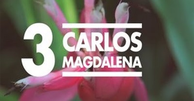 The Plant Messiah, Carlos Magdalena speaks to People of London