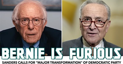 Bernie Calls For “Major Transformation" Of Democratic Party While Ripping Chuck Schumer's Leadership