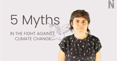 Five Myths in the Fight against Climate Change