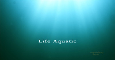 Life Aquatic